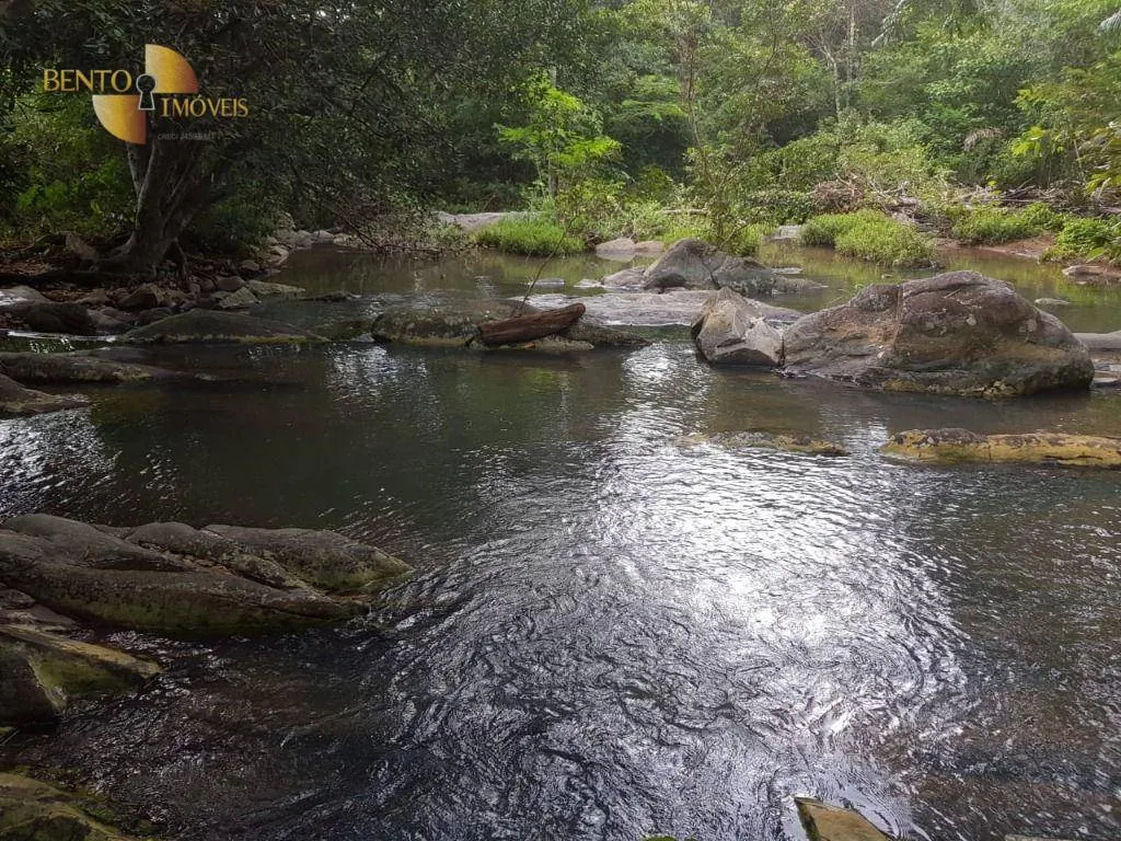 Farm for sale of 4,823 acres in Poconé, MT, Brazil