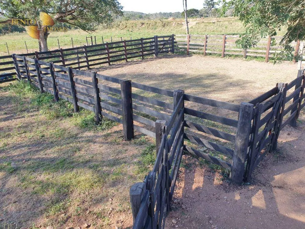 Farm for sale of 4,823 acres in Poconé, MT, Brazil