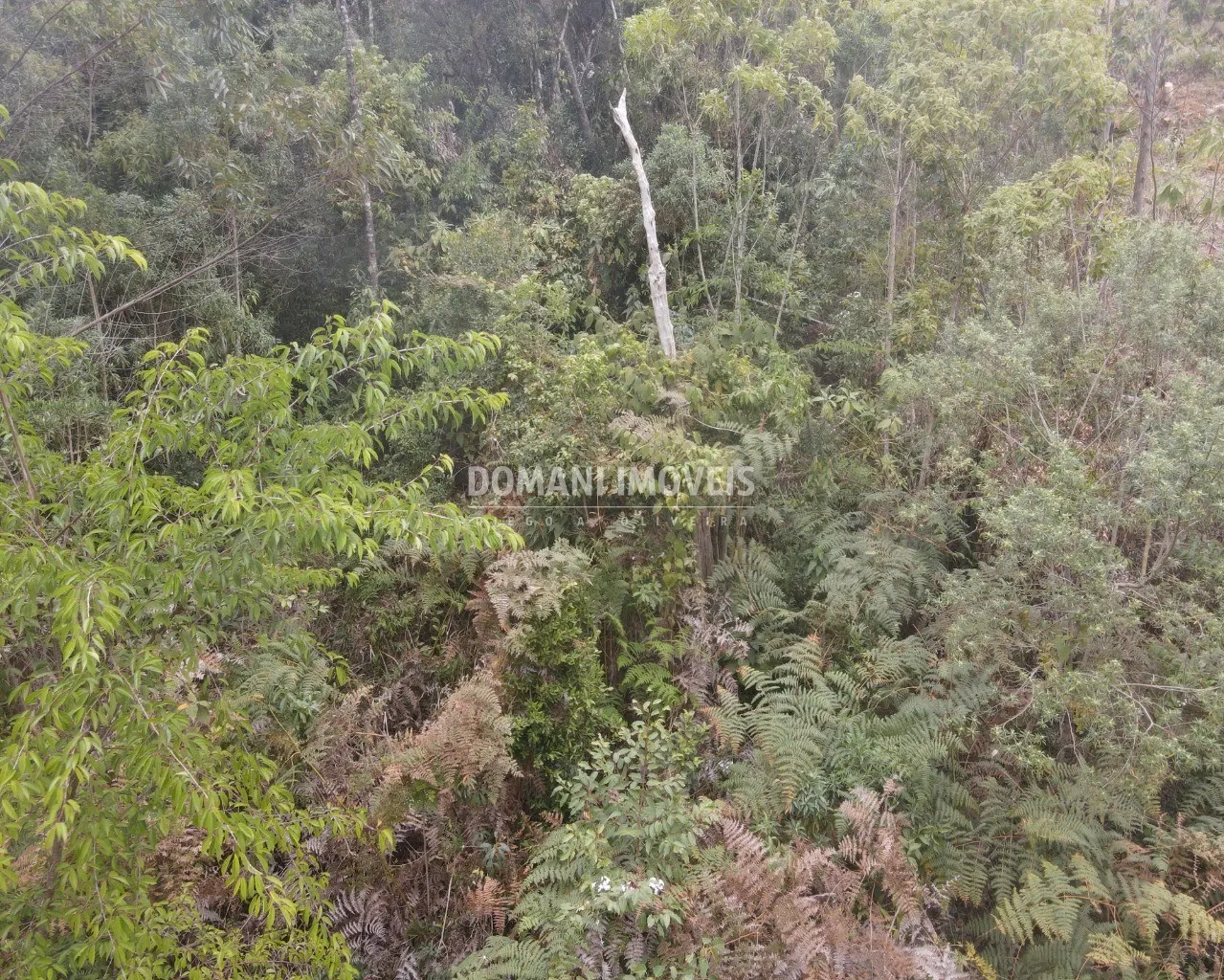 Terreno à venda de 1.150 m² em Campos do Jordão, SP, Brasil