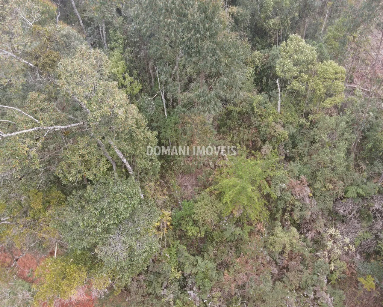 Terreno à venda de 1.150 m² em Campos do Jordão, SP, Brasil