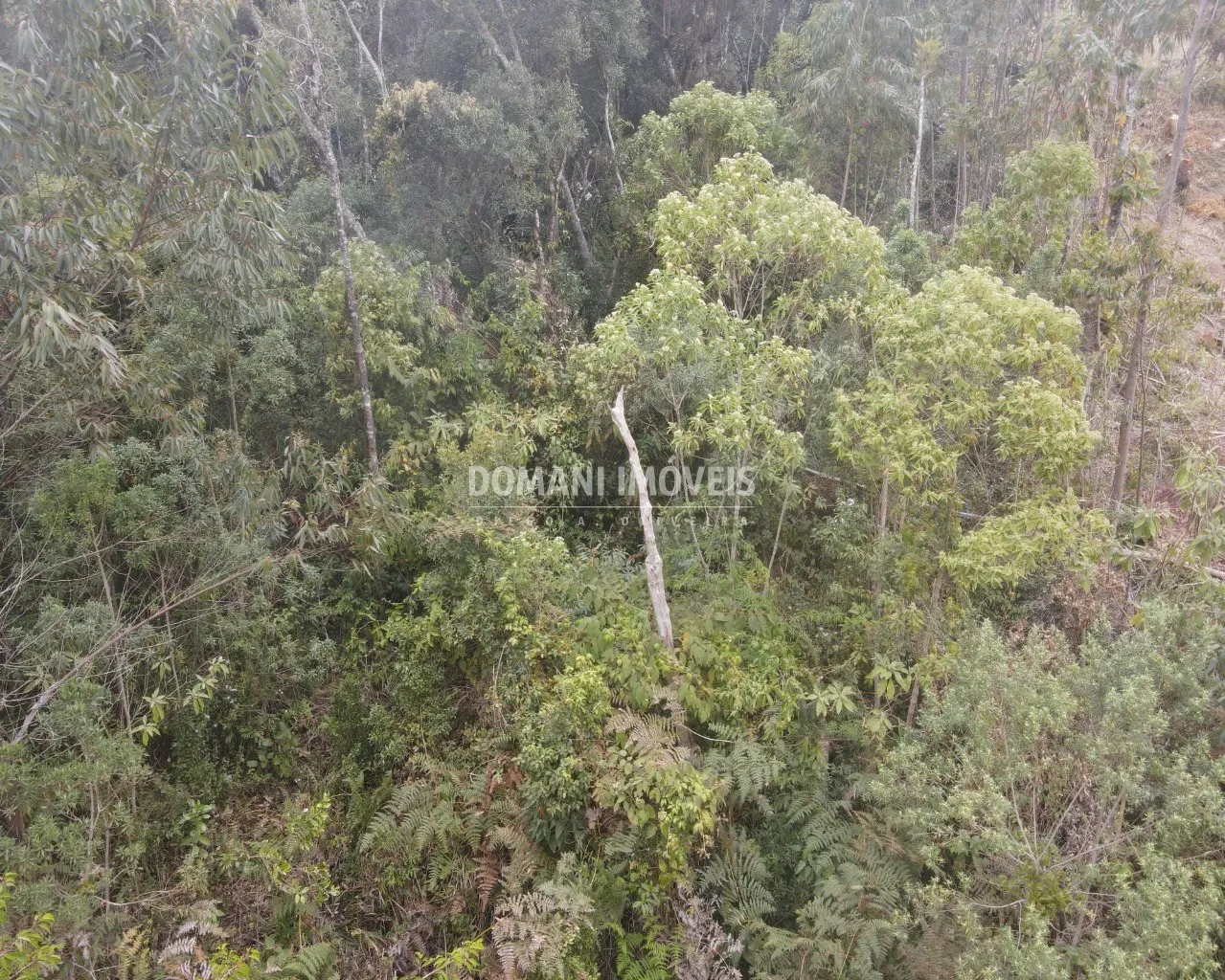 Terreno à venda de 1.150 m² em Campos do Jordão, SP, Brasil