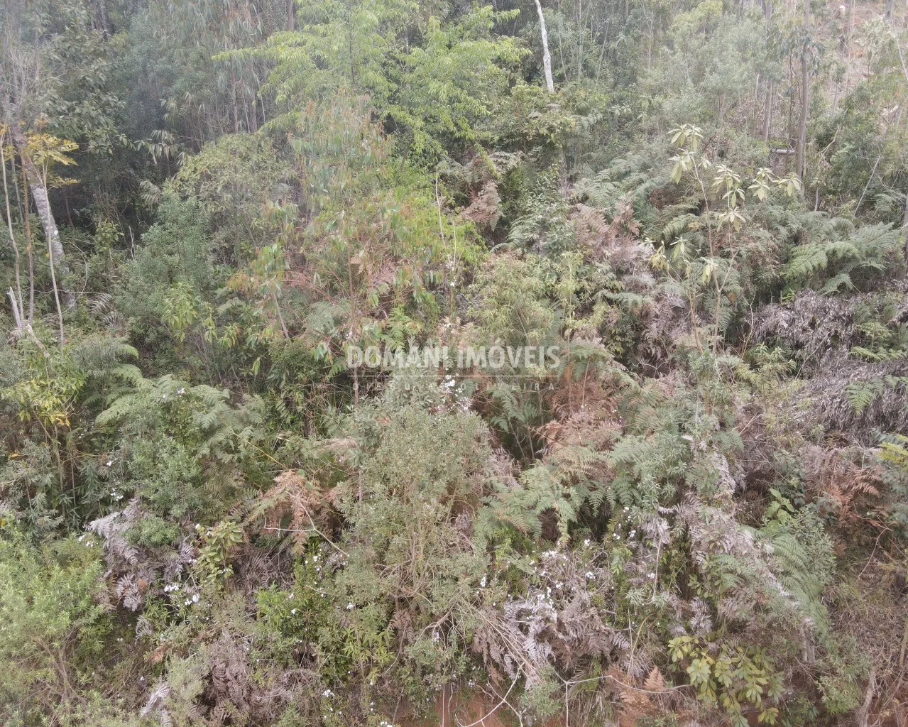 Terreno à venda de 1.150 m² em Campos do Jordão, SP, Brasil