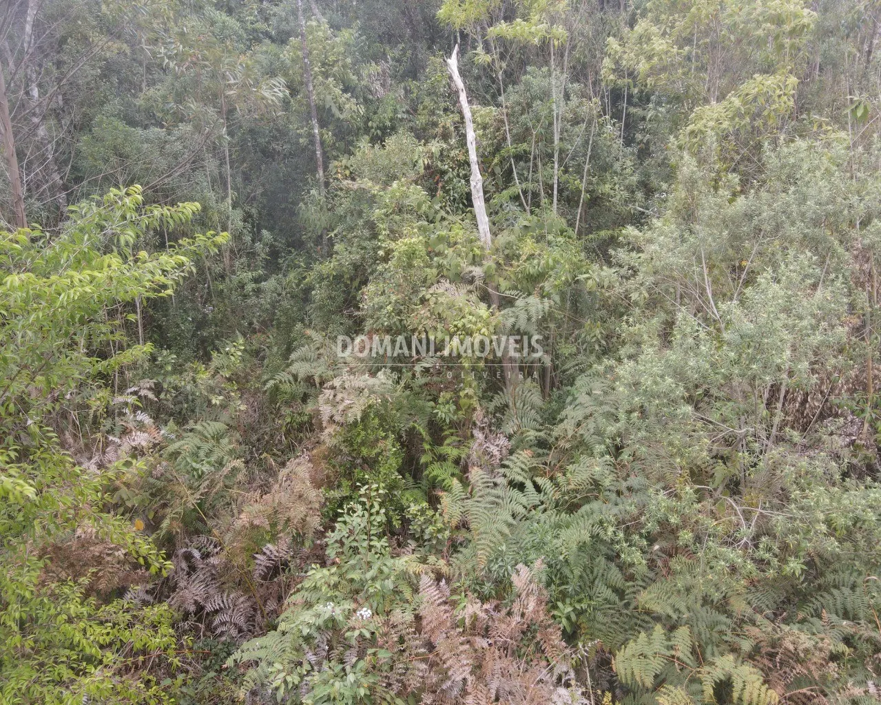 Terreno à venda de 1.150 m² em Campos do Jordão, SP, Brasil