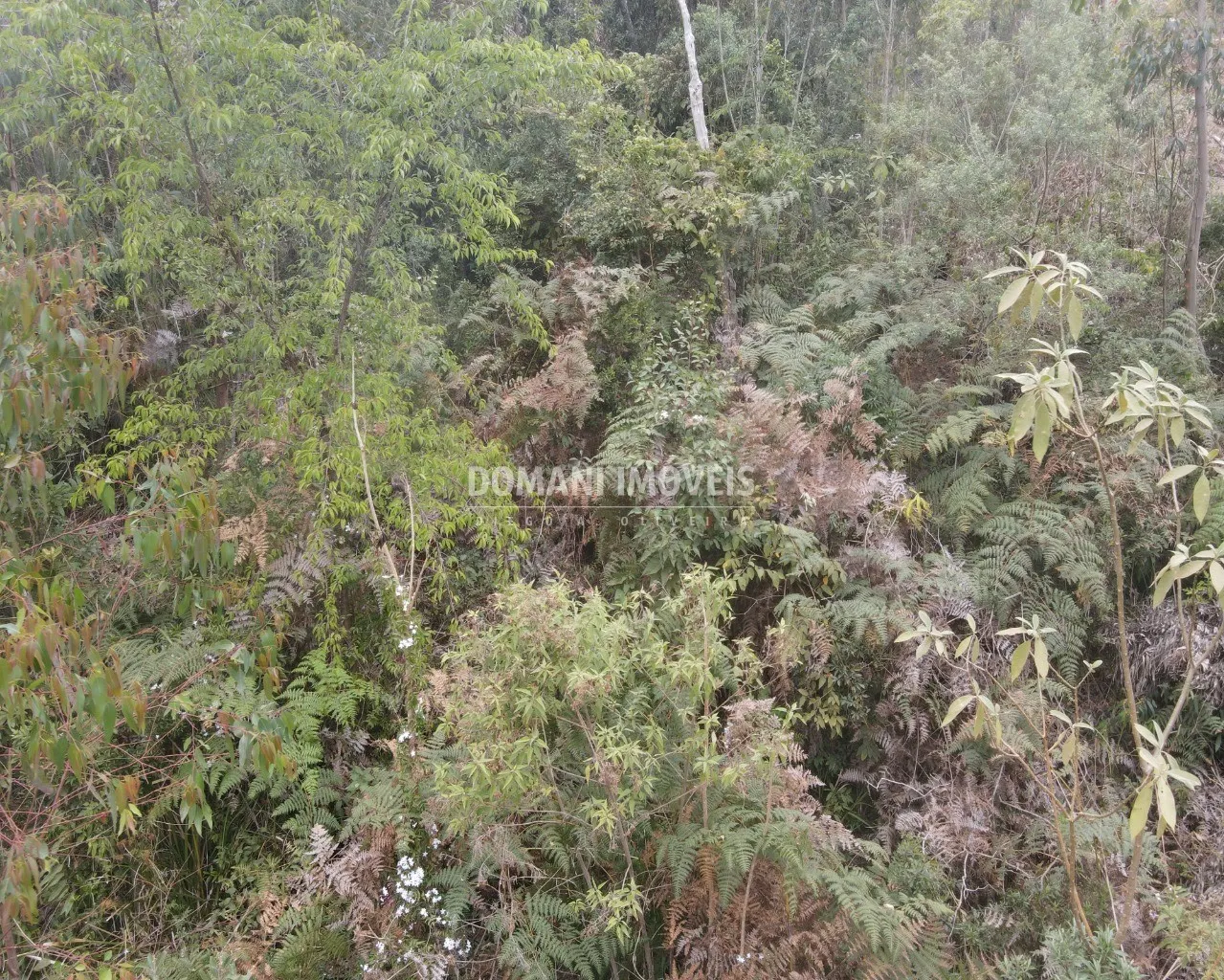 Terreno à venda de 1.150 m² em Campos do Jordão, SP, Brasil