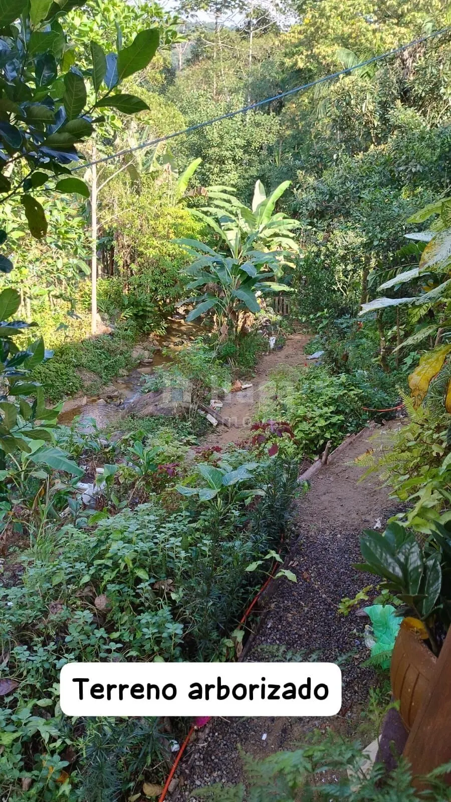 Farm for sale of 1,620 m² in Biguaçu, SC, Brazil