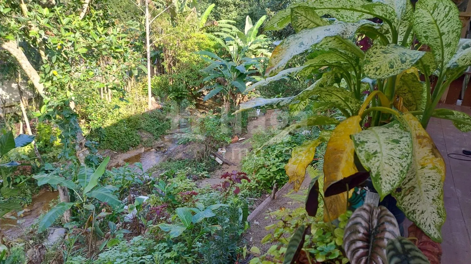 Farm for sale of 1,620 m² in Biguaçu, SC, Brazil