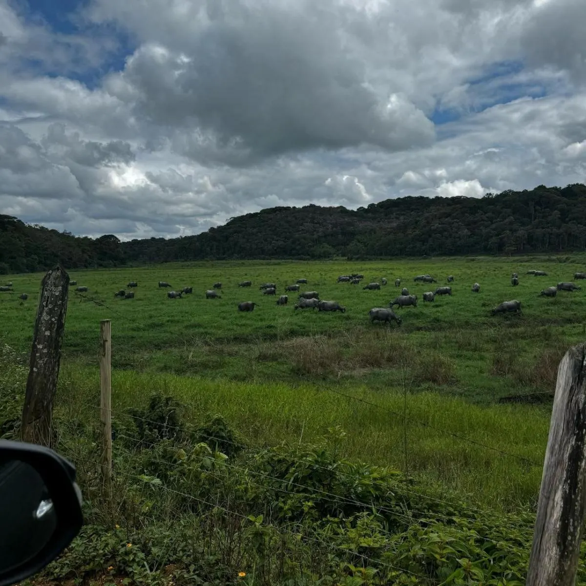Fazenda à venda de 450 ha em Registro, SP, Brasil