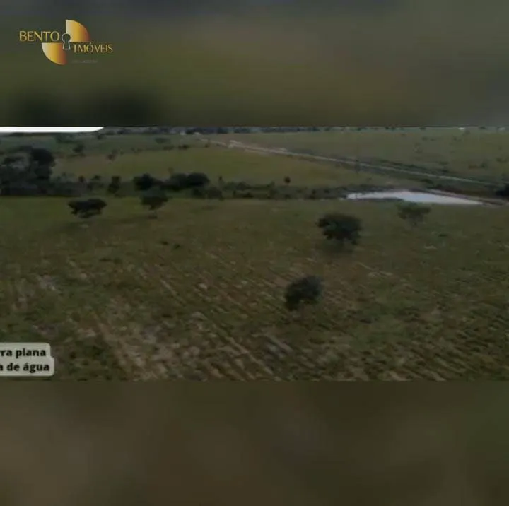 Fazenda à venda de 600 ha em Terra Nova do Norte, MT, Brasil