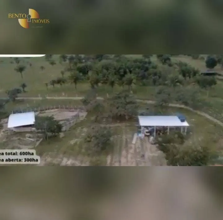 Fazenda à venda de 600 ha em Terra Nova do Norte, MT, Brasil