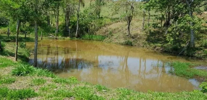 Fazenda à venda de 51 ha em Piracaia, SP, Brasil