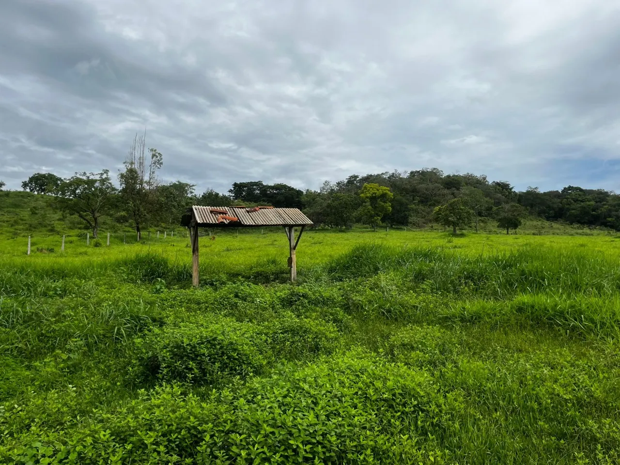 Fazenda à venda de 102 ha em Luziânia, GO, Brasil