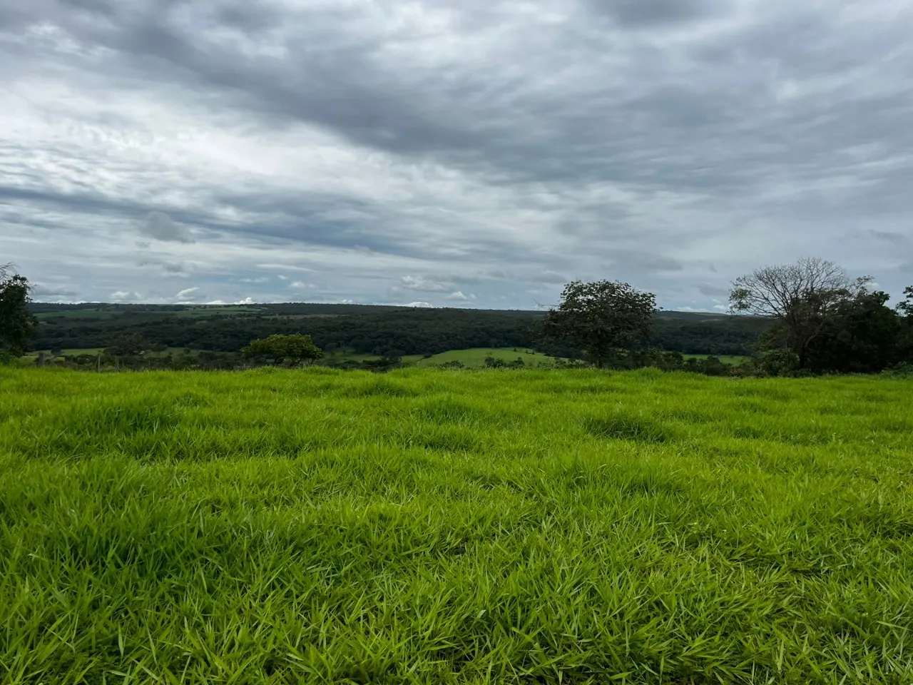 Fazenda à venda de 102 ha em Luziânia, GO, Brasil