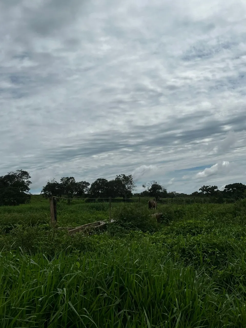 Fazenda à venda de 102 ha em Luziânia, GO, Brasil