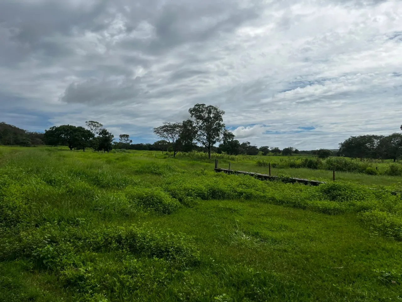 Fazenda à venda de 102 ha em Luziânia, GO, Brasil