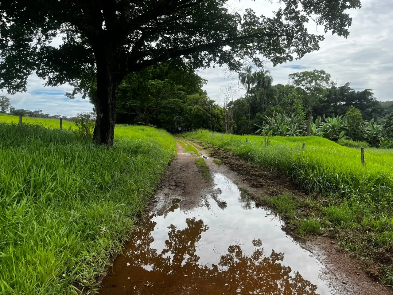 Fazenda à venda de 102 ha em Luziânia, GO, Brasil