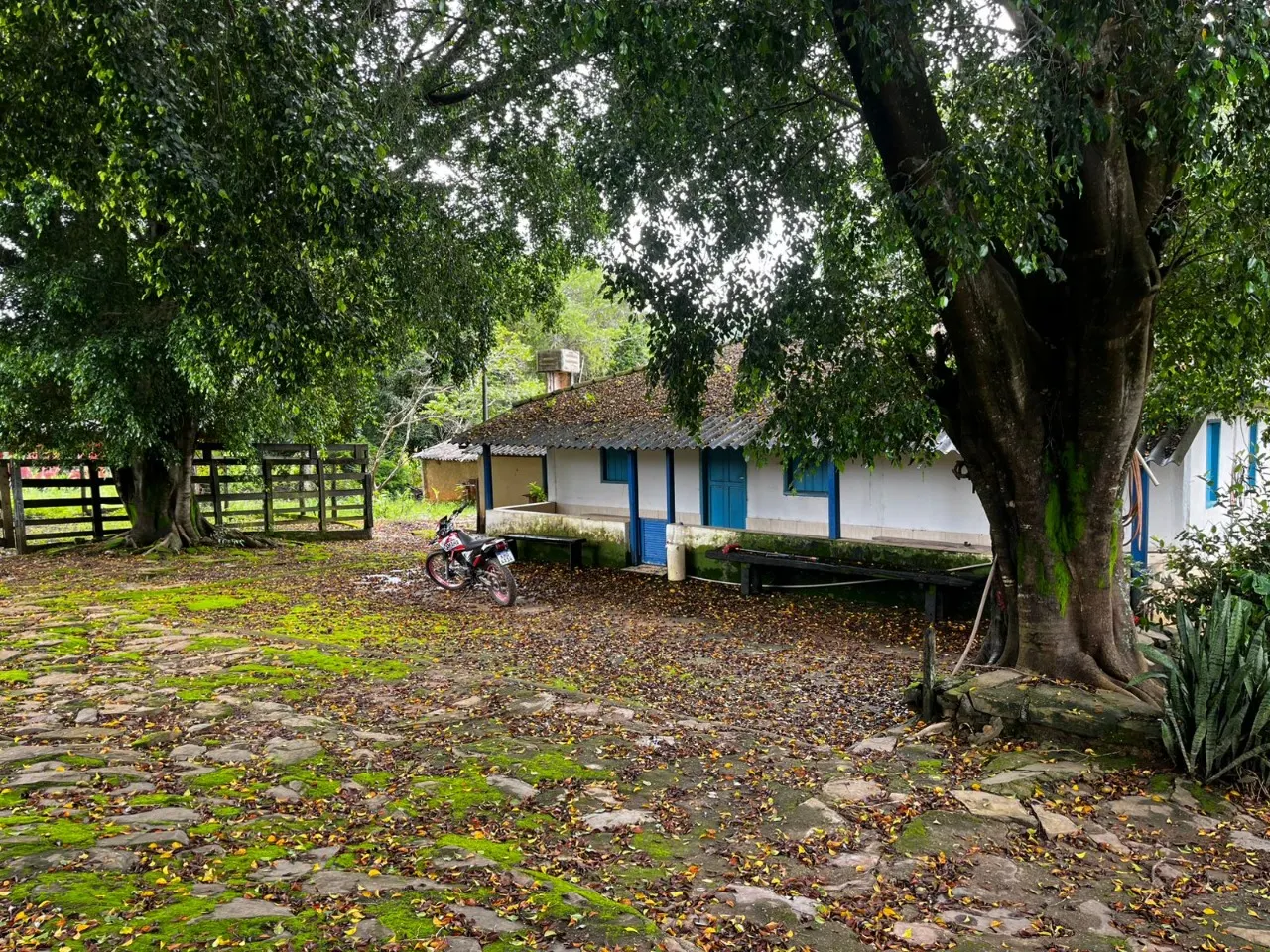 Fazenda à venda de 102 ha em Luziânia, GO, Brasil