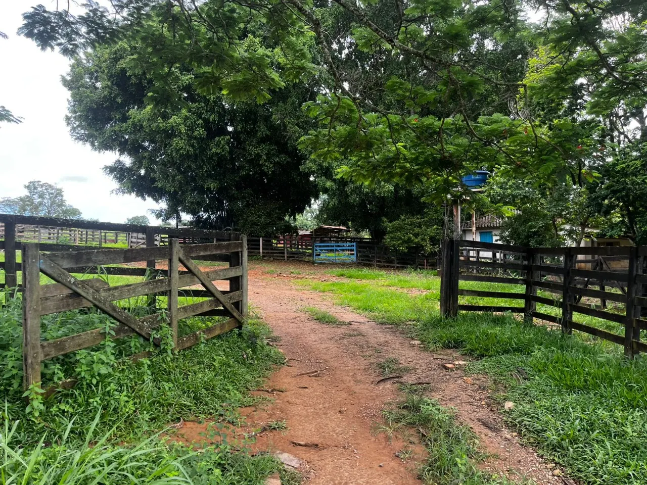 Fazenda à venda de 102 ha em Luziânia, GO, Brasil