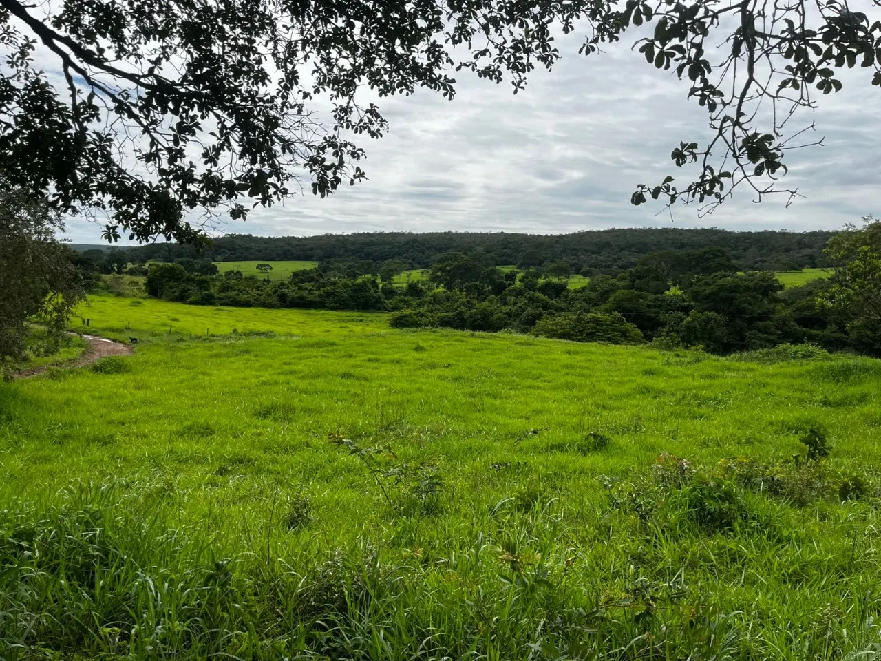 Fazenda à venda de 102 ha em Luziânia, GO, Brasil