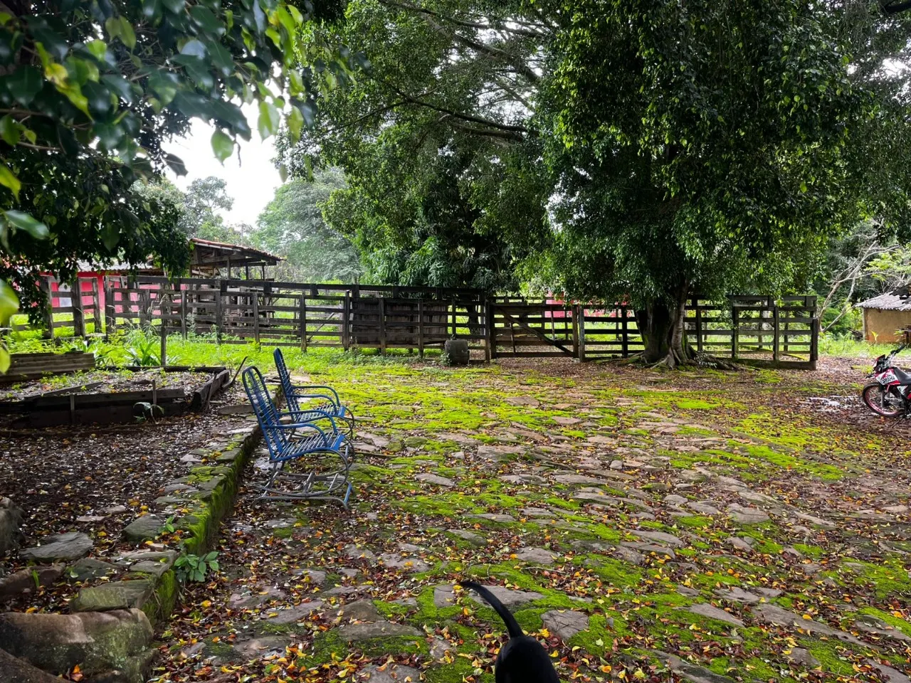 Fazenda à venda de 102 ha em Luziânia, GO, Brasil