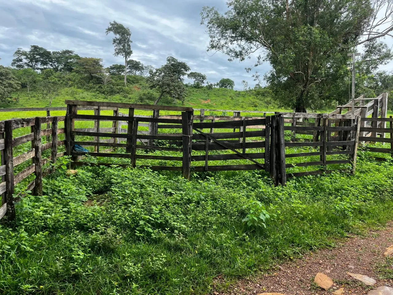 Fazenda à venda de 102 ha em Luziânia, GO, Brasil