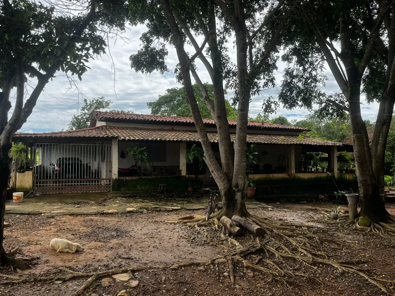 Fazenda à venda de 102 ha em Luziânia, GO, Brasil
