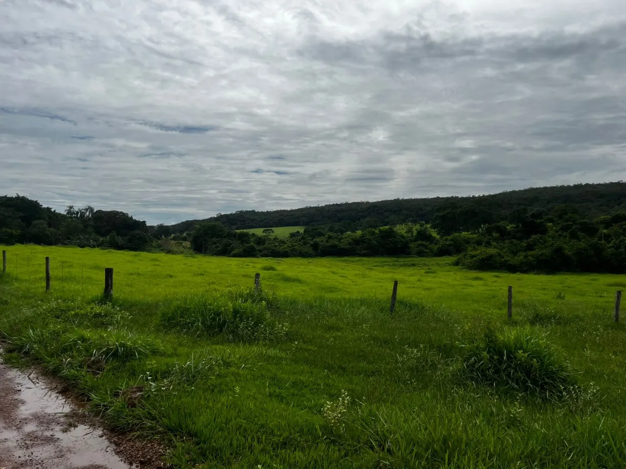 Fazenda à venda de 102 ha em Luziânia, GO, Brasil