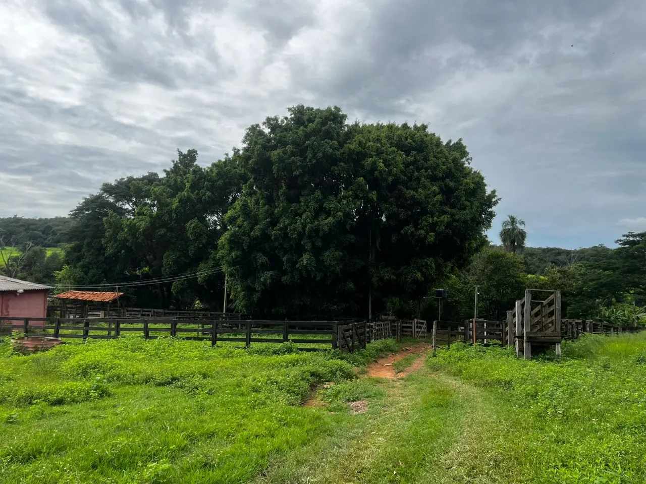 Fazenda à venda de 102 ha em Luziânia, GO, Brasil