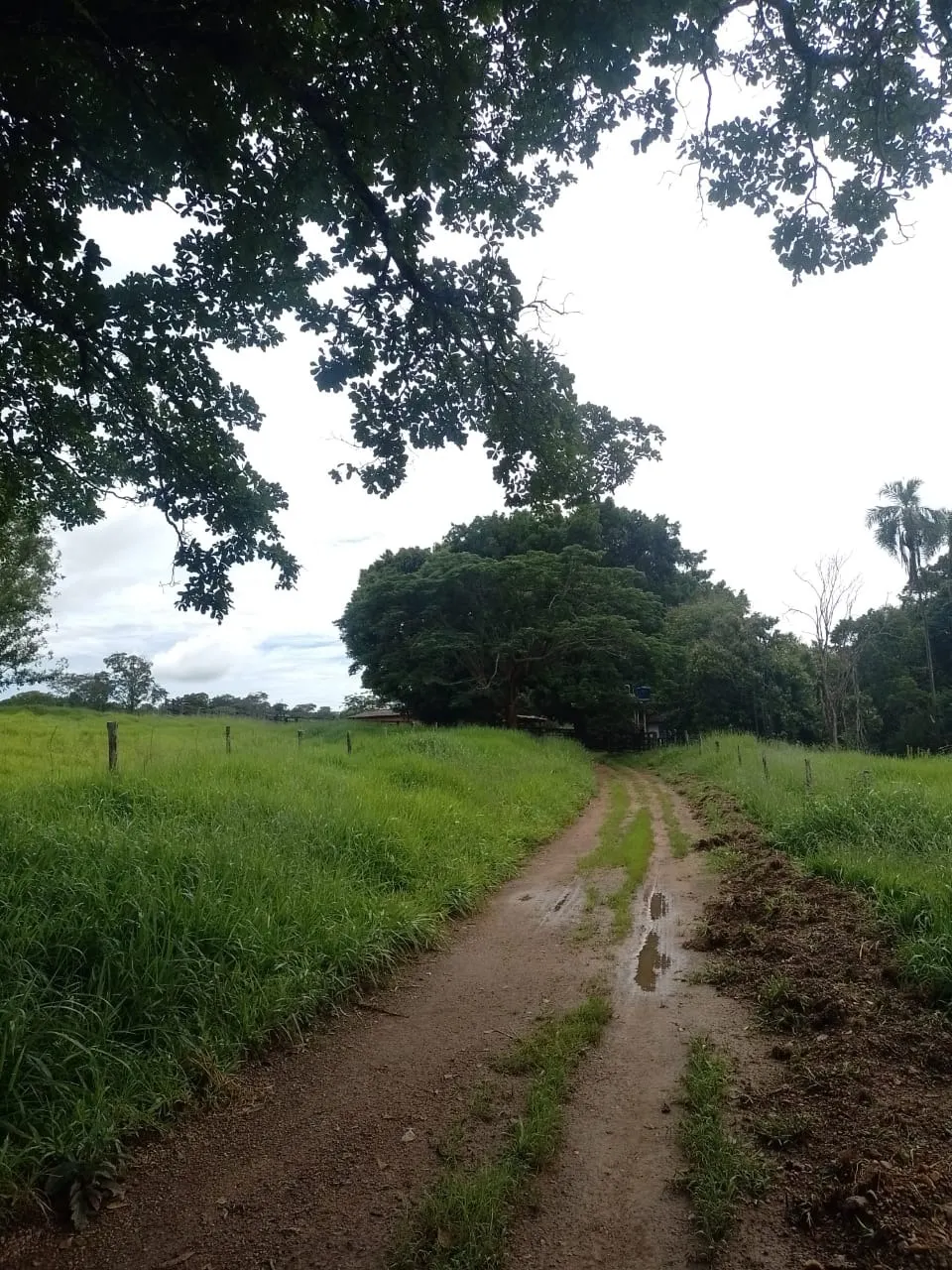 Fazenda à venda de 102 ha em Luziânia, GO, Brasil