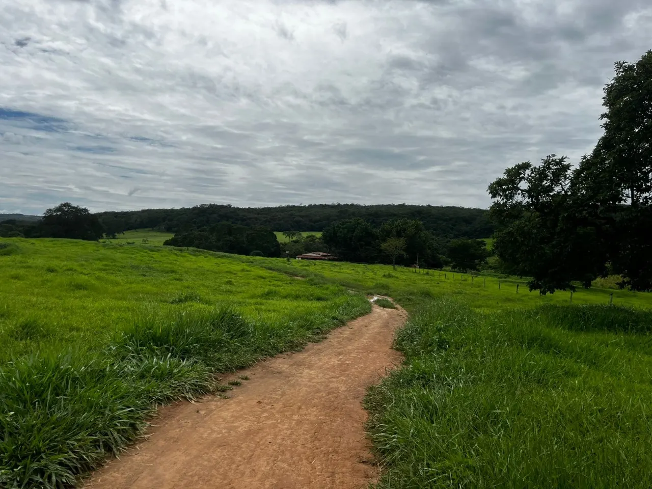 Fazenda à venda de 102 ha em Luziânia, GO, Brasil