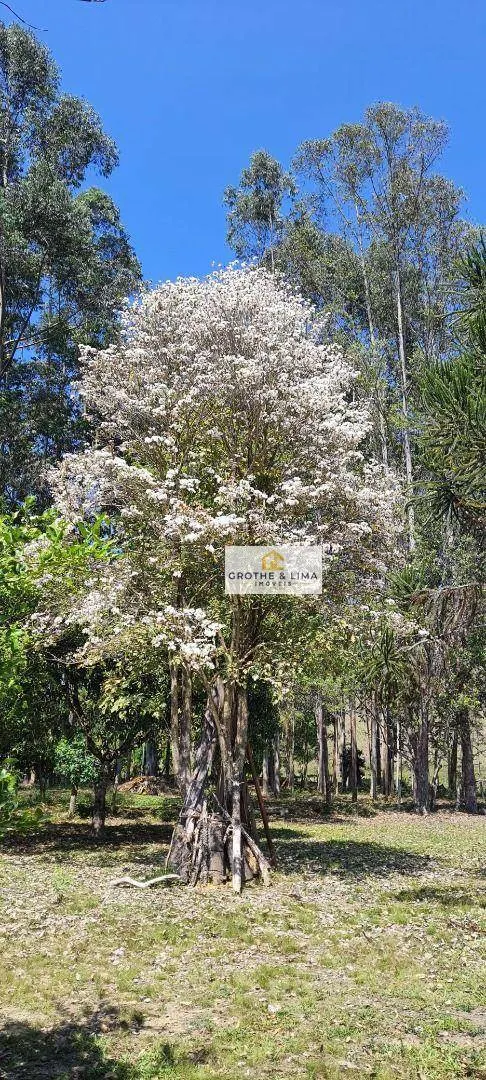 Chácara à venda de 5.000 m² em Cunha, SP, Brasil