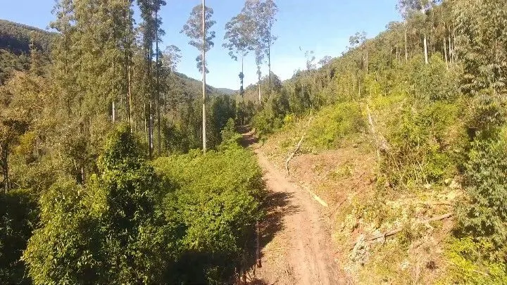 Sítio à venda de 57 ha em Riozinho, RS, Brasil