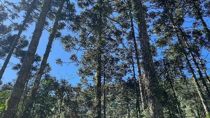 Sítio à venda de 57 ha em Riozinho, RS, Brasil