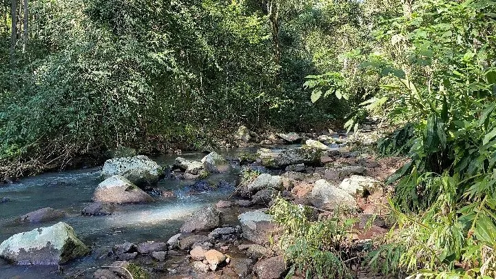 Sítio à venda de 57 ha em Riozinho, RS, Brasil
