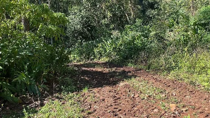 Sítio à venda de 57 ha em Riozinho, RS, Brasil