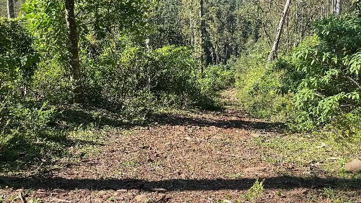 Sítio à venda de 57 ha em Riozinho, RS, Brasil