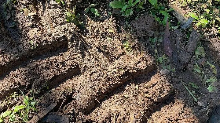 Sítio à venda de 57 ha em Riozinho, RS, Brasil