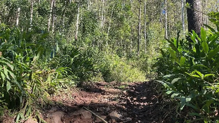 Sítio à venda de 57 ha em Riozinho, RS, Brasil