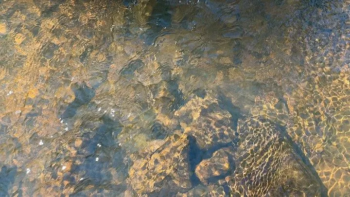 Sítio à venda de 57 ha em Riozinho, RS, Brasil