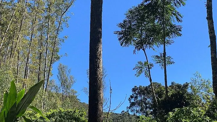 Sítio à venda de 57 ha em Riozinho, RS, Brasil