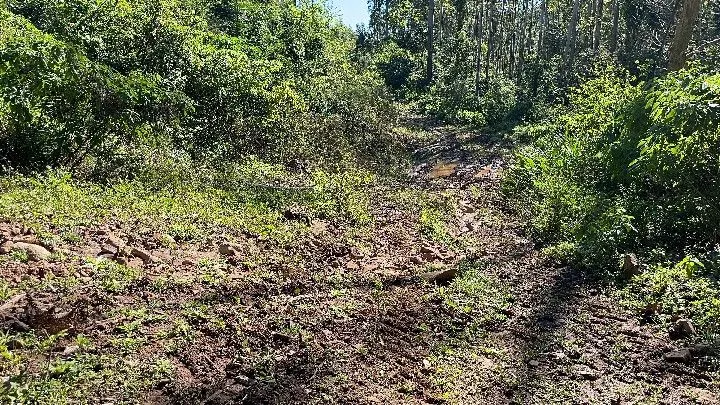 Sítio à venda de 57 ha em Riozinho, RS, Brasil