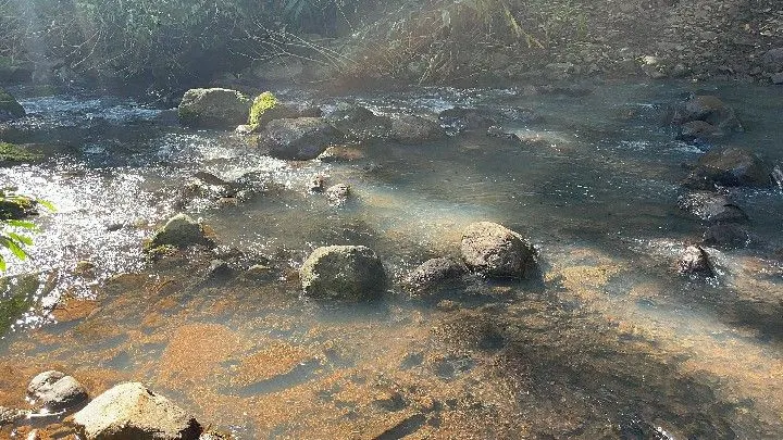 Sítio à venda de 57 ha em Riozinho, RS, Brasil