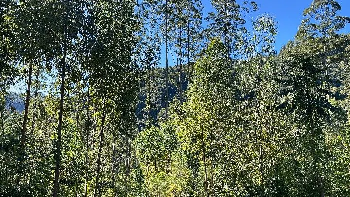 Sítio à venda de 57 ha em Riozinho, RS, Brasil