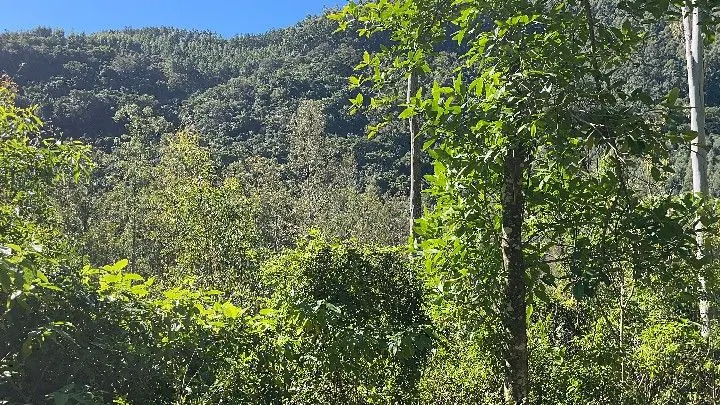 Sítio à venda de 57 ha em Riozinho, RS, Brasil
