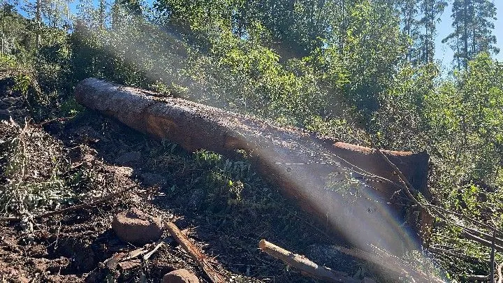 Sítio à venda de 57 ha em Riozinho, RS, Brasil