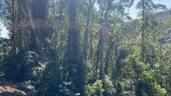 Sítio à venda de 57 ha em Riozinho, RS, Brasil