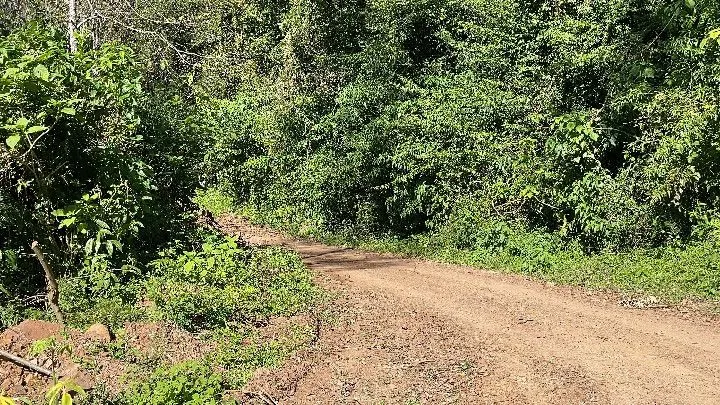 Sítio à venda de 57 ha em Riozinho, RS, Brasil