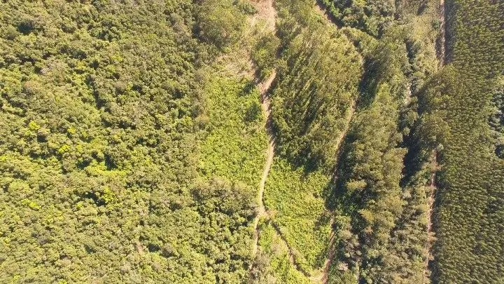 Sítio à venda de 57 ha em Riozinho, RS, Brasil