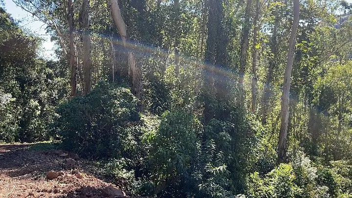 Sítio à venda de 57 ha em Riozinho, RS, Brasil
