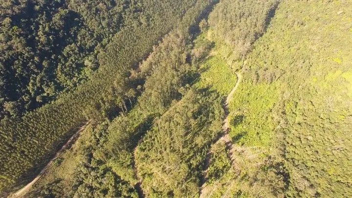 Sítio à venda de 57 ha em Riozinho, RS, Brasil