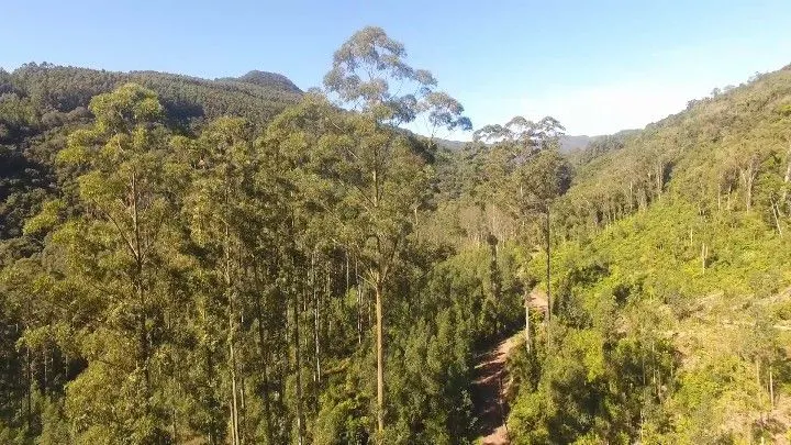 Sítio à venda de 57 ha em Riozinho, RS, Brasil